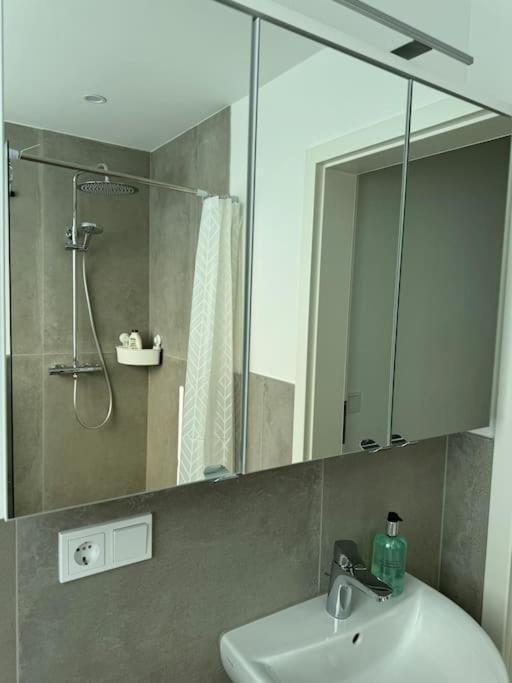 Apartment Quartier Ht13 Rheinblick